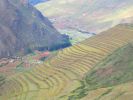 PICTURES/Sacred Valley - Pisac/t_Terrace Vista2.JPG